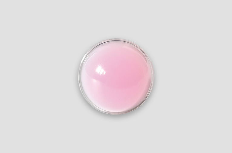 [hrhrart] pink tok (4차입고)