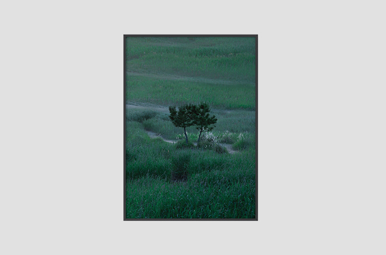 팝업* [AOBD] forest poster